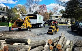 Best Lawn Mowing  in Bowie, TX