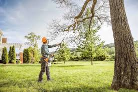 Best Arborist Consultation Services  in Bowie, TX