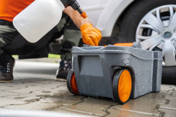 Best Tree and Shrub Care  in Bowie, TX